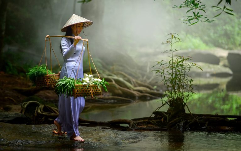 timeless-vietnam-img1
